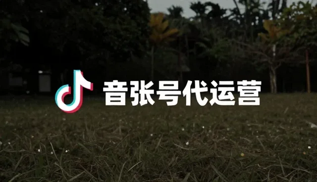 账号代运营模式下的运营策略演进与多规模适配路径